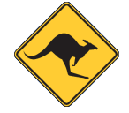 Coral Coast Skippycoin ICG