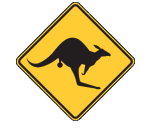 Coral Coast Skippycoin ICG Coral Coast Skippycoin ICG